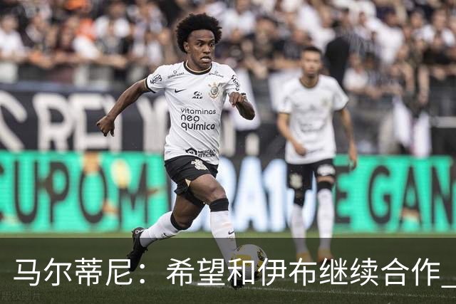 马尔蒂尼：希望和伊布继续合作 未和凯西达成一致